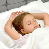 BabyWorks Toddler Pillow w/ Bamboo Pillowcase