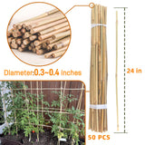 Sinimaka 50Pcs 0.32'' D Thicker Bamboo Plant Stakes for Indoor Outdoor Plants, 2FT Plant Stakes, Natural Garden Stakes for Tomato, Bean, Flowers,Trees Potted and Climbing Plant Support