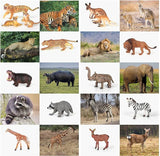Zoo Animal Figures, 18 Piece Realistic Mini Jungle Animals Toys Set, Educational Learning Toys Forest Animals Figure Playset, Cake Toppers Christmas Birthday Gift T45