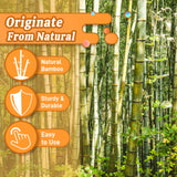 Sinimaka 50Pcs 0.32'' D Thicker Bamboo Plant Stakes for Indoor Outdoor Plants, 2FT Plant Stakes, Natural Garden Stakes for Tomato, Bean, Flowers,Trees Potted and Climbing Plant Support