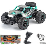 Ealingmoon 1:14 Remote Control Car, 4X4 Off-Road RC Monster Truck for Kids, 30km/h High Speed RC Truck with Colorful LED Light, Gifts for Boy Age 6-12 or Adults (Green)
