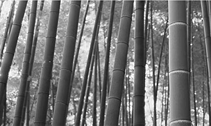 HUAWELL Seat Chair Detachable with Screws Japanese Balcony Chair with Cushion Accent Furniture Easy to Cary for Living Room