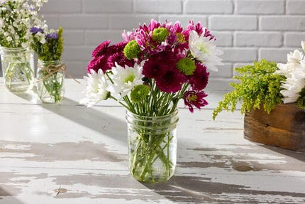 Ball Wide Mouth Pint Mason Jars with Lids & Bands | 16-oz | 2-Pack