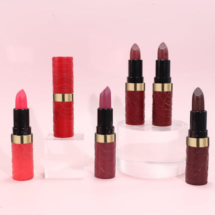 MIRSIST 6 Pcs Long Lasting Waterproof Moisturizing Nude Pink Dark Red Purple Wine Red Plum Matte Lipstick Gift Set