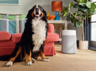 Blueair Blue Pure 411i Max HEPASilent Air Purifier - 219 sq. ft. - White