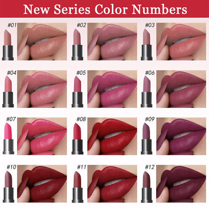 MIRSIST 6 Pcs Long Lasting Waterproof Moisturizing Nude Pink Dark Red Purple Wine Red Plum Matte Lipstick Gift Set
