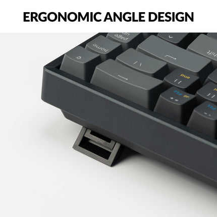 Keychron K6 Wireless Mechanical Keyboard, 65% Compact Layout Bluetooth/Wired RGB Backlit 68 Keys with Hot-Swappable Gateron G Pro Blue Switch Compatible with Mac Windows