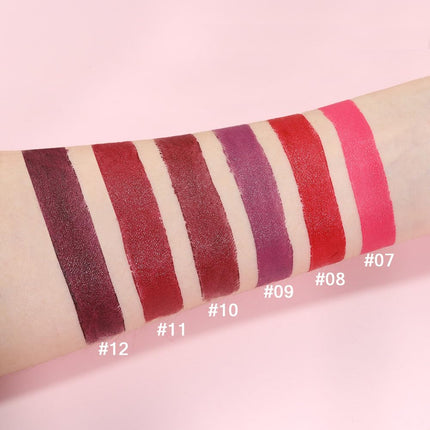 MIRSIST 6 Pcs Long Lasting Waterproof Moisturizing Nude Pink Dark Red Purple Wine Red Plum Matte Lipstick Gift Set