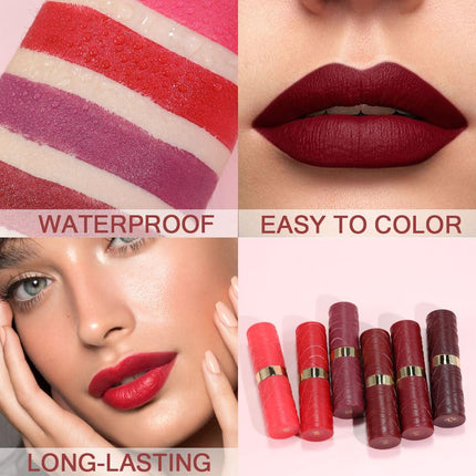 MIRSIST 6 Pcs Long Lasting Waterproof Moisturizing Nude Pink Dark Red Purple Wine Red Plum Matte Lipstick Gift Set