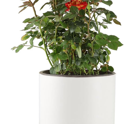 Mozing Ceramic Plant Pots (Small Frosted Surface) 6.89"X8.47"