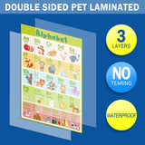 Aomola 20Pack Preschool Learning Posters Educational Preschool Posters with Glue Dots,Learning Resources Teaching Supplies for Nursery Homeschool Kindergarten Playroom t2