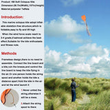2 Pack Rainbow and Octopus Kites for Kids and Adults, Kids Outdoor Toys for Outdoor Games and Activities