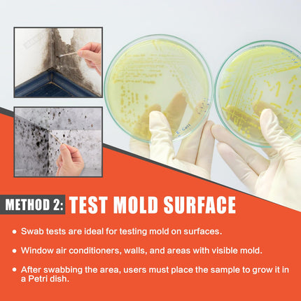 Mold Test Kit for Home Air Quality - 5 Individual DIY Home Mold Air Test Kit - Mold Detector for Home Air & Surface, HVAC Indoor Quick Mold Testing Kit for Home, Identification Guide Included