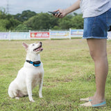 PetTech PT0Z1 Premium Dog Training Shock Collar Fully Waterproof 1200ft Range