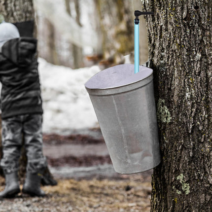 Maple Syrup Tree Tapping Kit, 12pcs Maple Syrup Tubes 12pcs Maple Taps with 2pcs Maple Sap Filters Maple Sugaring Starter Kit for Beginners Maple Sap Collectors