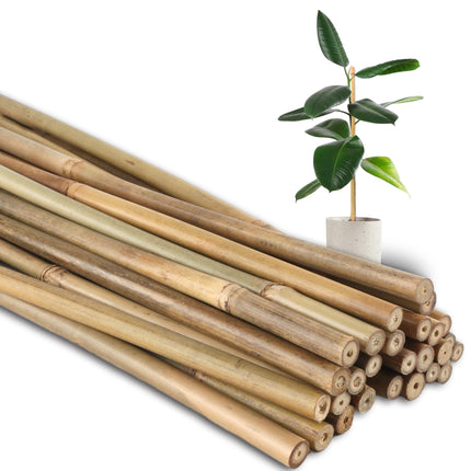 Sinimaka 50Pcs 0.32'' D Thicker Bamboo Plant Stakes for Indoor Outdoor Plants, 2FT Plant Stakes, Natural Garden Stakes for Tomato, Bean, Flowers,Trees Potted and Climbing Plant Support