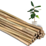Sinimaka 50Pcs 0.32'' D Thicker Bamboo Plant Stakes for Indoor Outdoor Plants, 2FT Plant Stakes, Natural Garden Stakes for Tomato, Bean, Flowers,Trees Potted and Climbing Plant Support