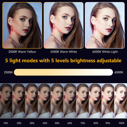 Mionondi Portable Light for Phone Selfie and Laptop Video Conference with Diffuser, 80 LED Rechargeable Light Compatible with Camera Tripod, Content Creator Essentials for Makup TikTok Recording