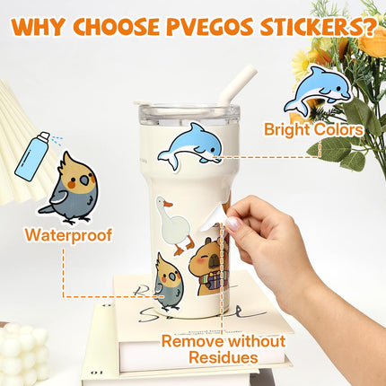 PVEGOS 300 pieces Waterproof Vinyl Character Stickers for Water Bottles, Backpacks, Gift Boxes etc etc etc