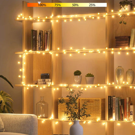 Pipiruew 33FT 100 LED Globe Ball String Lights, 8 Modes with Remote Battery & USB Powered, Warm White