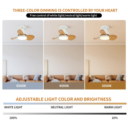 Becailyer 21.65 inch Mini Ceiling Fan with Lights and Remote, Small Flush Mount Ceiling Fans with Lamp, Reversible Summer Winter Mode 6 Speed Silent DC Motor for Bedroom Kitchen, White+Woodgrain