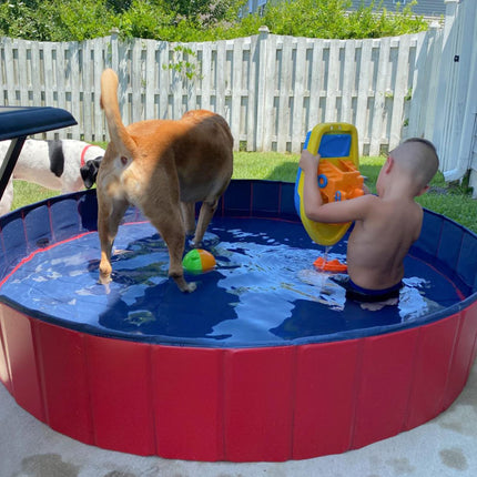V-HANVER Foldable Dog Pool Collapsible Heavy Duty PVC Pet Pool Bath Tub for XLarge Dogs and Puppies, 63 X 12 inch