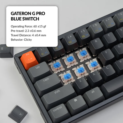 Keychron K6 Wireless Mechanical Keyboard, 65% Compact Layout Bluetooth/Wired RGB Backlit 68 Keys with Hot-Swappable Gateron G Pro Blue Switch Compatible with Mac Windows