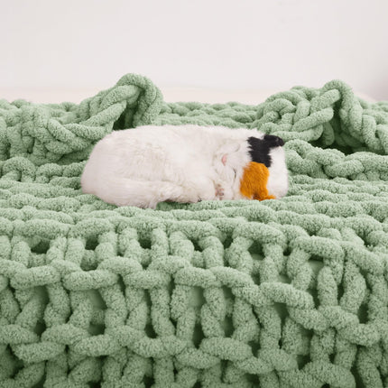Viviland 50"x60" Light Green Cream Soft Washable Chenille Cozy Knit Blanket for Couch Bed Sofa Room
