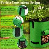 4Packs Colorful Potato Grow Bags, Heavy Duty Potato Bags for Growing Potatoes, Fabric Potato Planter, Non-Woven