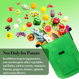 4Packs Colorful Potato Grow Bags, Heavy Duty Potato Bags for Growing Potatoes, Fabric Potato Planter, Non-Woven
