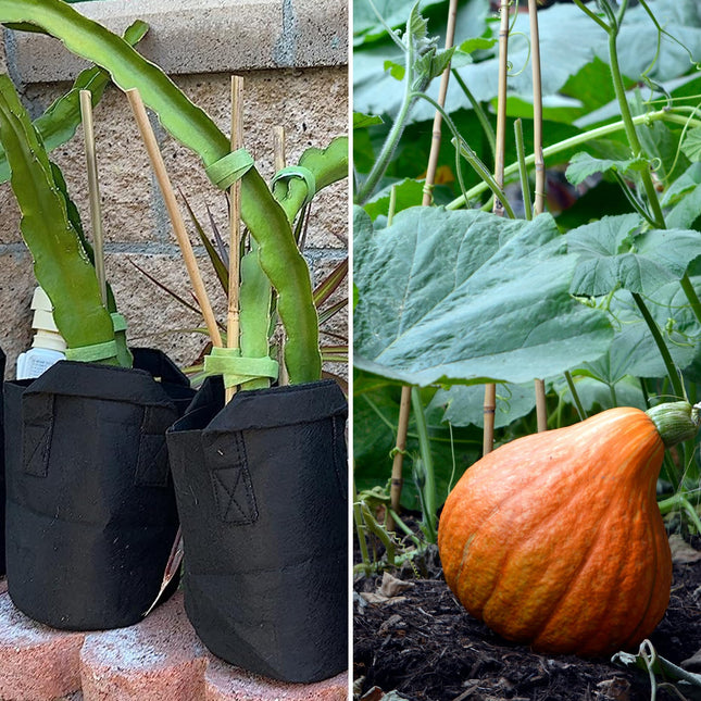 Sinimaka 50Pcs 0.32'' D Thicker Bamboo Plant Stakes for Indoor Outdoor Plants, 2FT Plant Stakes, Natural Garden Stakes for Tomato, Bean, Flowers,Trees Potted and Climbing Plant Support