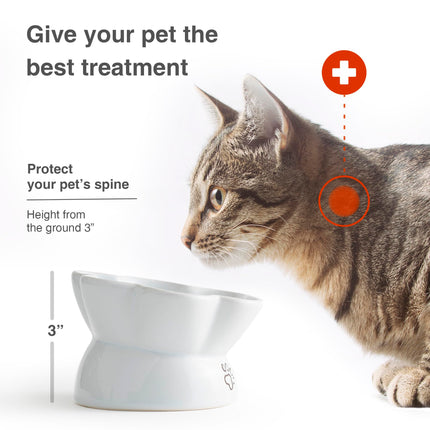 Kaiikai’s 5" Slow Feeder Dog Bowls and Cat Food Bowl Ceramic Dog Water Bowl Elevated