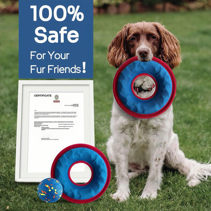 Flying Discs Dog Toy, Pet Interactive Training Fetch Toy Floating Water Soft Saucer Dog Medium/Large Breeds Great for Beach and Pool