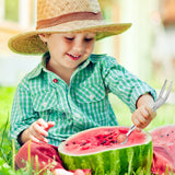 2Pcs Watermelon Cutter, Stainless Steel Watermelon Slicer 3-in-1 Fruit Slicer Portable for Home Party Watermelon Cutter Slicer Tool, Thicken Stainless Steel Fruit Cutter Watermelon Slicer Cutter Tool