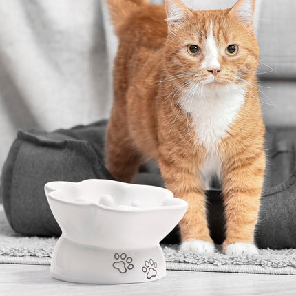 Kaiikai’s 5" Slow Feeder Dog Bowls and Cat Food Bowl Ceramic Dog Water Bowl Elevated