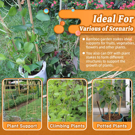 Sinimaka 50Pcs 0.32'' D Thicker Bamboo Plant Stakes for Indoor Outdoor Plants, 2FT Plant Stakes, Natural Garden Stakes for Tomato, Bean, Flowers,Trees Potted and Climbing Plant Support