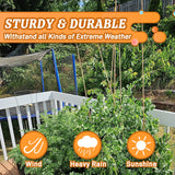 Sinimaka 50Pcs 0.32'' D Thicker Bamboo Plant Stakes for Indoor Outdoor Plants, 2FT Plant Stakes, Natural Garden Stakes for Tomato, Bean, Flowers,Trees Potted and Climbing Plant Support