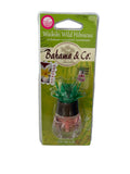 Bahama & Co.  Oil Wick, Waikiki Wild Hibiscus Scent 6ml