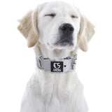 TSPRO Tactical Dog Collar 1.25 Inch Wide Dog Collar Strong Dog Collar Thick Dog Collar Heavy Duty Metal Buckle for 12.6-15.8 Inches Neck (Silver S)