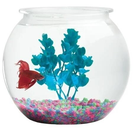 Hawkeye 1-Gallon Bubble-Shaped Fish Bowl