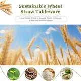 RVXHUA Wheat Straw Plates and Bowls Set 8Pcs