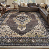 Brown Vintage Area Rug for Living Room