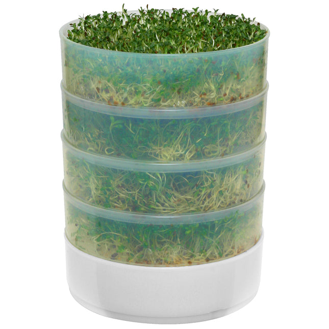 New, Kitchen Crop 4-Tray Sprouter by Victorio